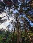 IMG-20210822-WA0044