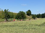 IMG_0272