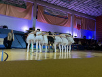 2026-01-17_19-15-46