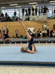 2026-03-15-10-40-36_009