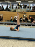 2026-03-15-10-42-13_012